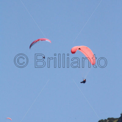 parachute glider - Brillianto Images